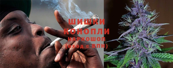 дживик Пестово